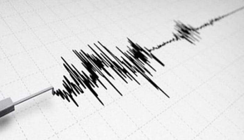 Apa Itu Sensor Getaran Seismik dan Bagaimana Cara Kerjanya?